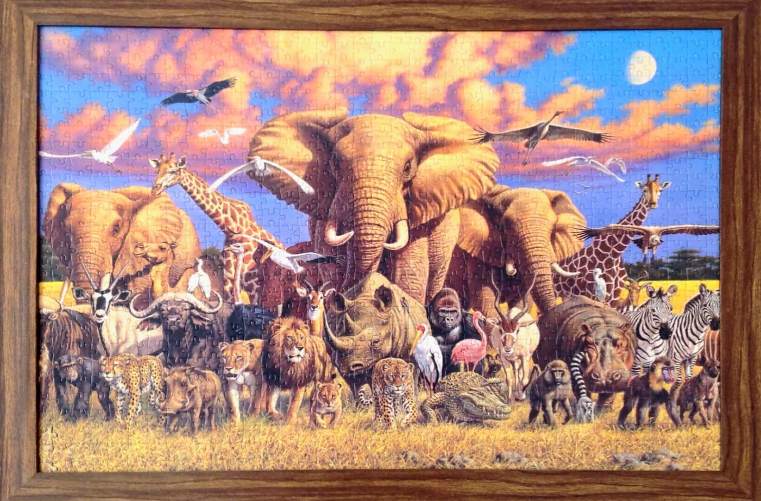 African Animals*